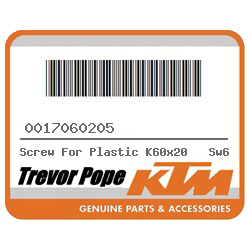 Screw For Plastic K60x20 Sw6